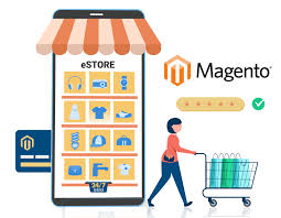 Custom Solutions Offered by a Magento Enterprise Development Company in India
